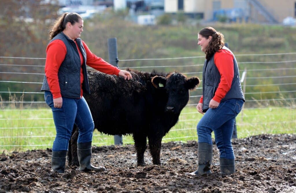 No alt text provided.